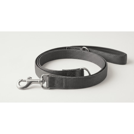 Laisse Urban Walk – Chien