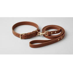 Pack Balade Chien