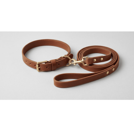 Pack Balade Chien